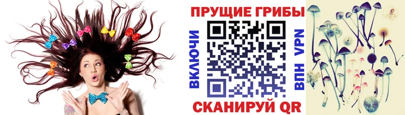 Галлюциногенные грибы мицелий Трёхгорный