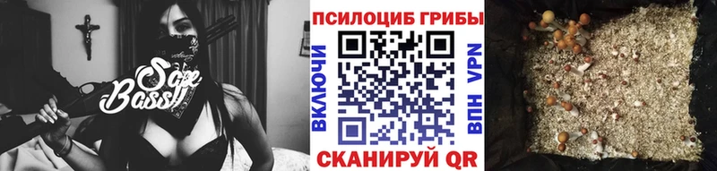 Псилоцибиновые грибы Cubensis  Трёхгорный 